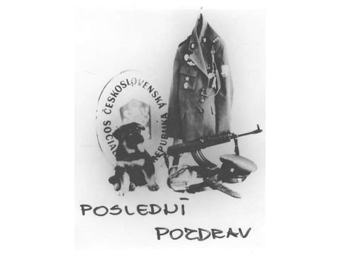 Foto 15